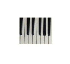 C'est un secret de polichinelle que tu as besoin d'un piano pour les cours de piano en ligne.